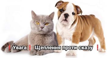 Шановні власники тварин