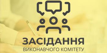 2-ге чергове засідання виконавчого комітету