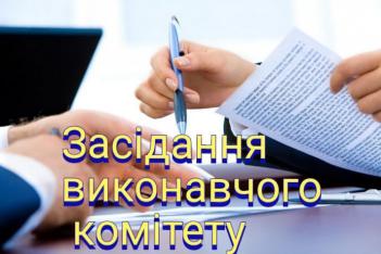 16 чергове засідання виконавчого комітету