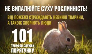 ​У смт Димер пожежники ліквідовували наслідки випалювання сухої рослинності