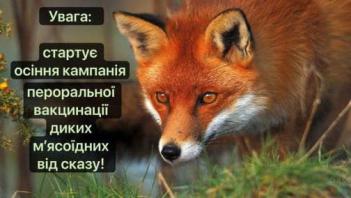На Київщині буде проведено осінню кампанію з пероральної імунізації диких м’ясоїдних тварин проти сказу