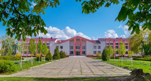 Демидівський ліцей Димерської селищної ради