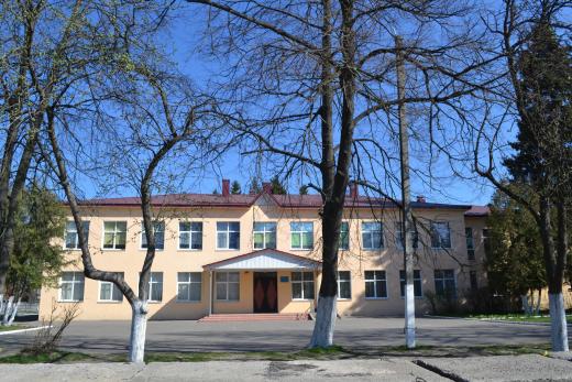 Димерський ліцей №1 Димерської селищної ради