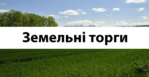 Димерська селищна рада повідомляє про проведення земельних торгів (у формі електронного аукціону)