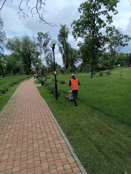 «Новини наших старост» з населених пунктів Димерської громади за поточний тиждень