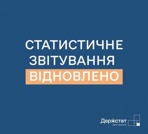 Із 5 липня 2025 року відновлено обов’язкове подання статистичної та фінансової звітності