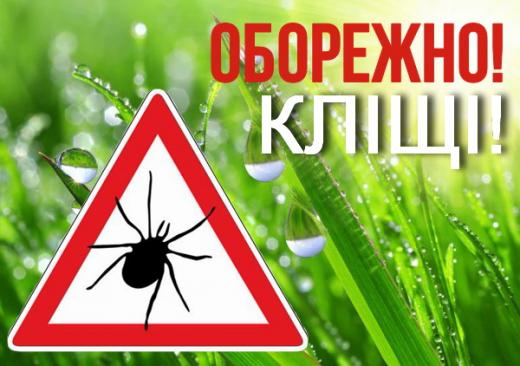 Обережно – кліщі: як вберегтися від укусів і хвороб, які вони переносять