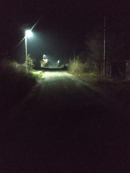 Рови9.jfif