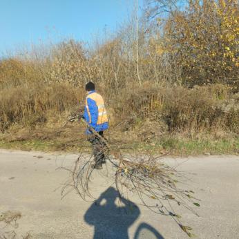Ясногородка2.jfif