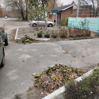 Ясногородка6.jfif