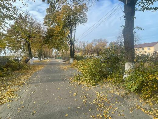 Демидів1.jfif